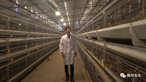 陶圩鎮(zhèn) 結(jié)合茉莉產(chǎn)業(yè) 打造本地品牌