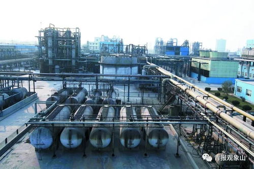 高大上 項目加持,膠州灣東岸這片區域將再次華麗綻放